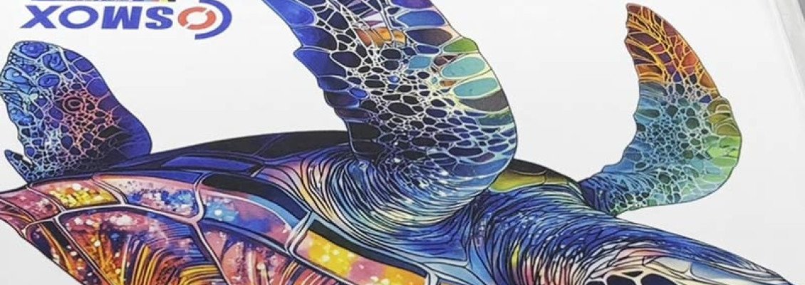 COSMOX DTG T-Shirt Printer Is the Smart Choice for Professional Garment Printing